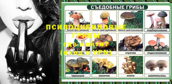 шишки Алексеевка