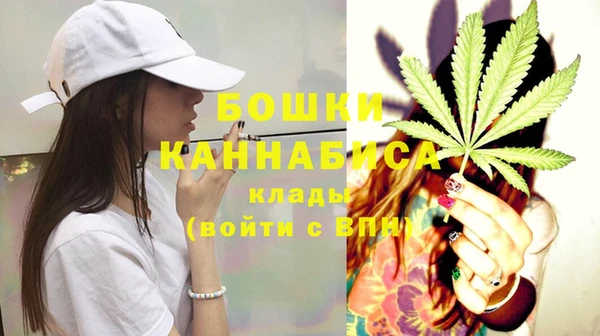 шишки Алексеевка