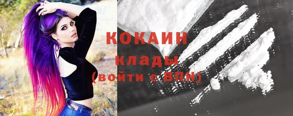 шишки Алексеевка