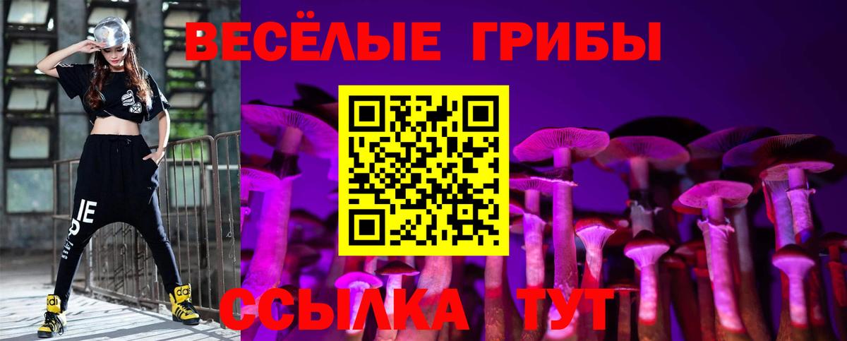 Сосновый Бор  Псилоцибиновые грибы Psilocybe  как найти закладки  Вход с VPN 